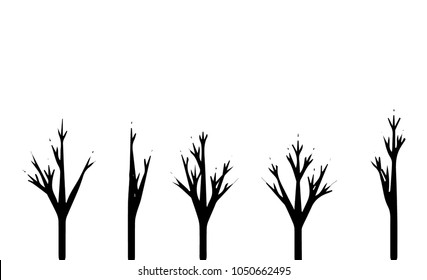 Trees set silhouette. Coniferous forest. Isolated tree on white background.