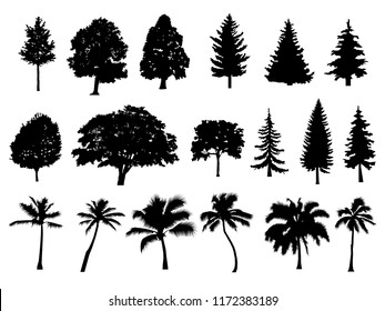 Trees set silhouette. Coniferous forest. Isolated tree on white background. Palm. vector illustration. EPS
