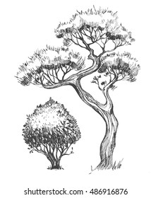 Trees set. Sketch illustration. Vector