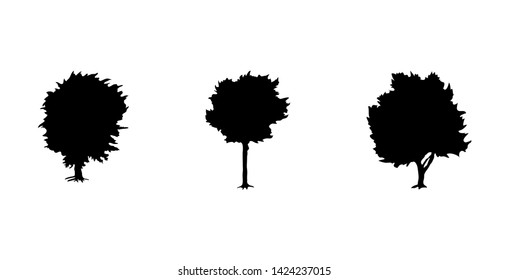 Trees set of three black silhouette on white background. Collection various forms. Elements for design. Nature icon. isolated. Vector illustration
