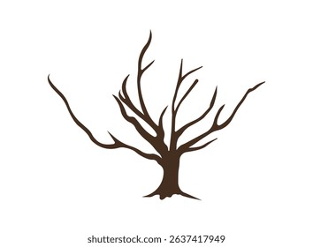   Trees Set - Vector Cartoon Illustration, Collection of trees illustrations. Can be used to illustrate any nature.  