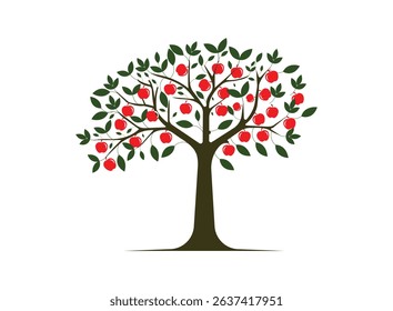   Trees Set - Vector Cartoon Illustration, Collection of trees illustrations. Can be used to illustrate any nature.  
