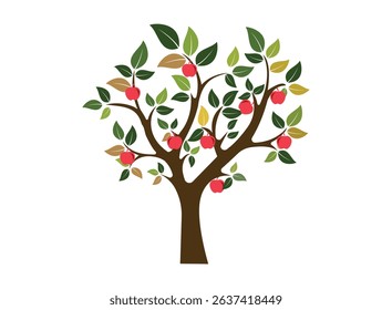   Trees Set - Vector Cartoon Illustration, Collection of trees illustrations. Can be used to illustrate any nature.  