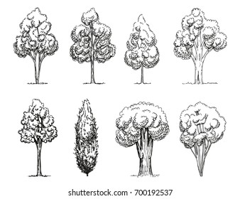Trees set vector. Hand drawing