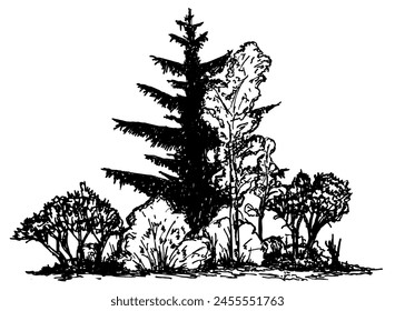 Trees, Shrub. Coniferous and deciduous trees. Vegetation. Hand drawn vector illustration with black outline. Sketch in ink illustration landscape