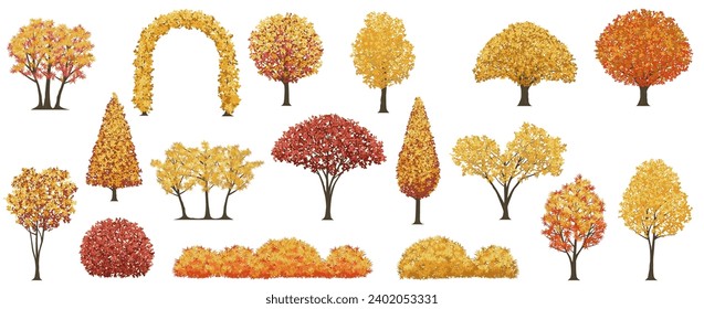 Árboles Y Arbustos En La Ilustración Del Vector De Color De Otoño Aislados En Un Fondo Blanco. 