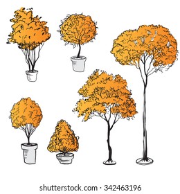 Trees and shrubs. Hand draw collection