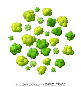 Trees and shrubs. View from above. View from copter or helicopter. Summer landscape. Scenery green. Vector