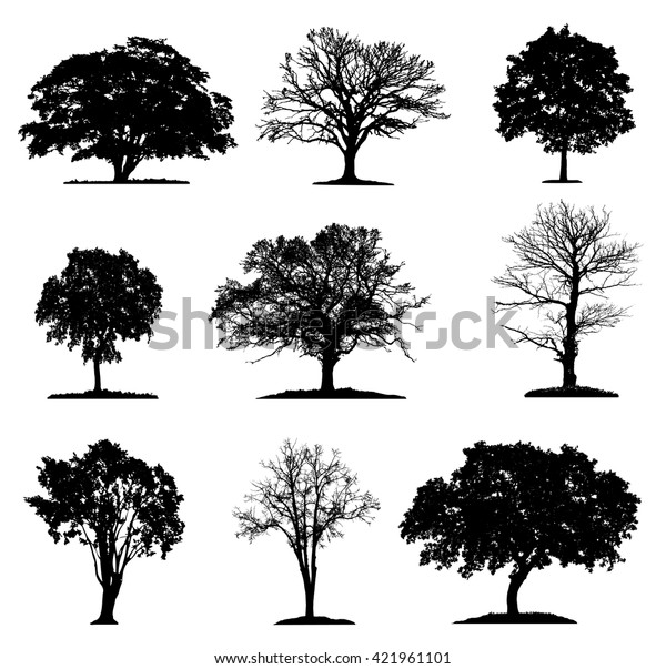 Download Trees Silhouette Collection Different Layers Stock Vector ...