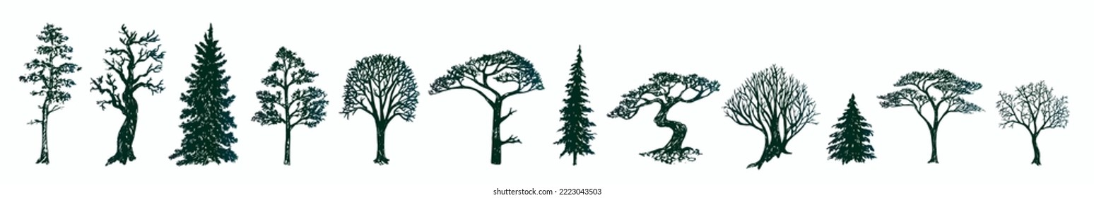 Trees silhouette collection, hand drawn doodle sketch, black and white vector illustration