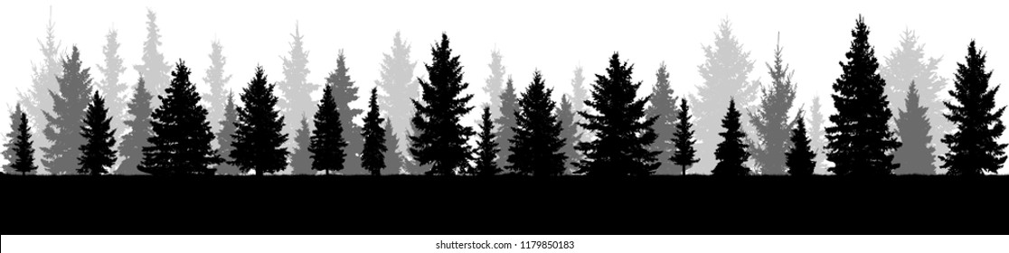 Trees,  silhouette of forest, vector