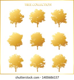 Trees silhouette with golden color.