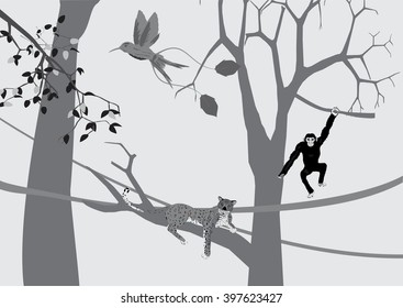 Trees silhouette in grey colors, leopard lying on trunk, ape hanging on branch