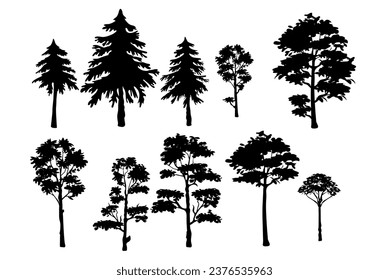 Baumsilhouette. Einzeln auf weißem Hintergrund.