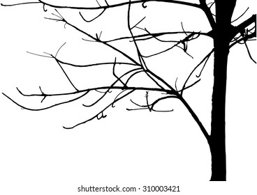 trees silhouette on vector style