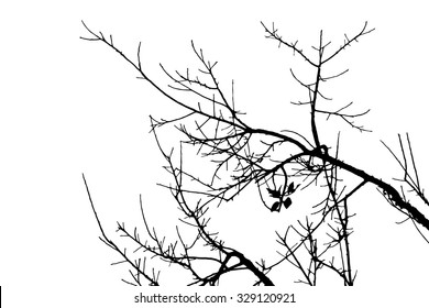 trees silhouette on vector style