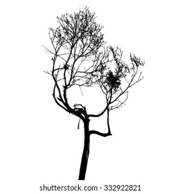 trees silhouette on vector style