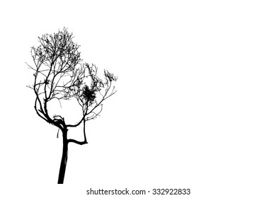 trees silhouette on vector style