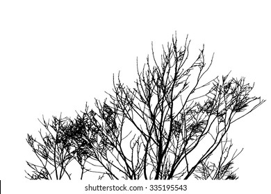trees silhouette on vector style