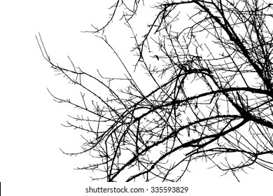 trees silhouette on vector style
