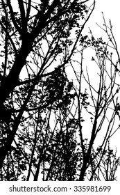 trees silhouette on vector style