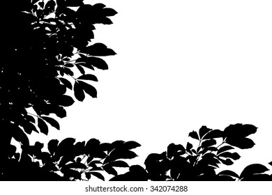 trees silhouette on vector style