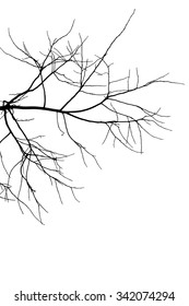 trees silhouette on vector style