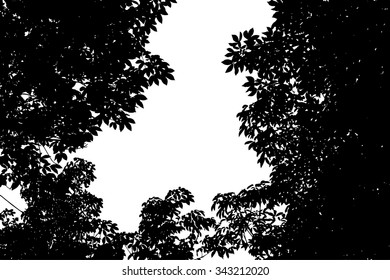 trees silhouette on vector style