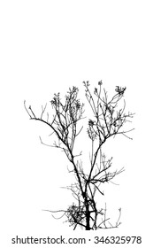 trees silhouette on vector style