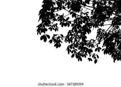 trees silhouette on vector style
