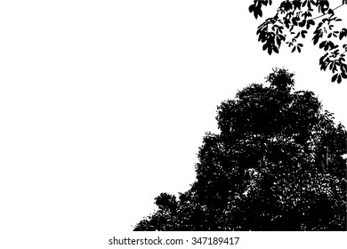 trees silhouette on vector style