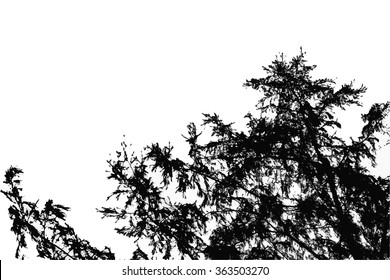 trees silhouette on vector style