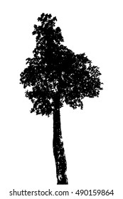 trees silhouette on vector style