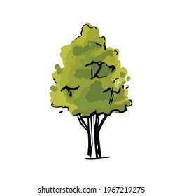 Trees silhouette side view. Different trees vector set for architectural or landscape design. Front view. Watercolor tree sketch.