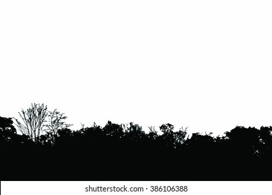 trees silhouette vector