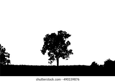 81,138 Bare tree silhouette Images, Stock Photos & Vectors | Shutterstock