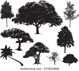 Trees Silhouette Vector Illustration Design