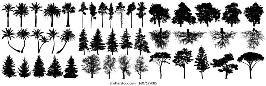 Trees silhouette vector set. Isolated on white background