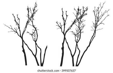Trees silhouettes, bush without leaves, black isolated on white background, vector illustration.