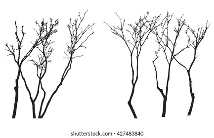 Trees silhouettes, bush without leaves, black isolated on white background, vector illustration.