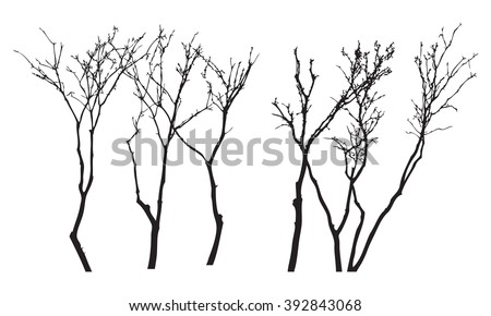 Similar – Image, Stock Photo Dry branches grouped in the forest.