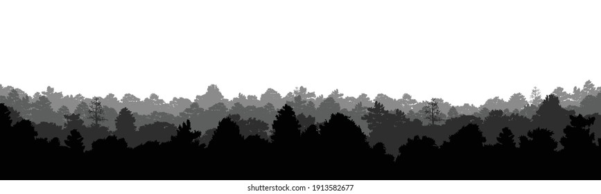trees silhouettes in forest natural wild background, vector illustration