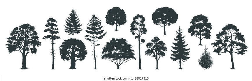 Trees silhouettes. Forest and park pines firs and spruces, coniferous and deciduous trees. Vector isolated retro images nature set
