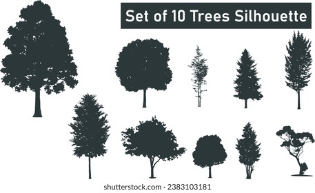 Trees silhouettes. Forest and park pines firs and spruces, coniferous and deciduous trees. Vector isolated retro images nature set