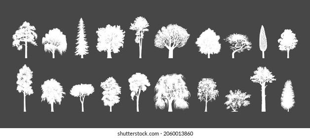 Trees silhouettes, hand drawn illustrations. Coniferous or deciduous woods, vector sketches. Forest on black background.