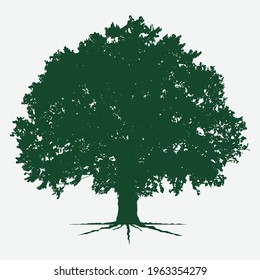 trees silhouettes on white background, vector illustration