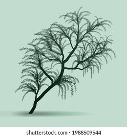 trees silhouettes on white background, vector illustration
