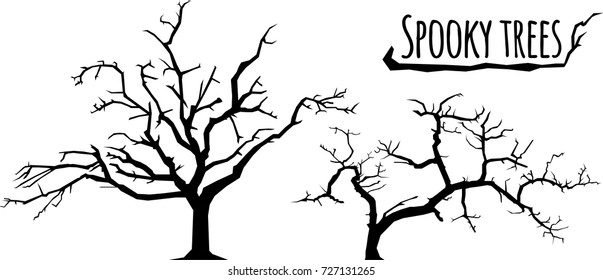trees silhouettes on the white background