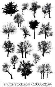 Trees Silhouettes set vector pack art oak, maple, birch, apple, pear.