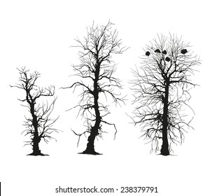 trees silhouettes. Vector. Isolated on white.  